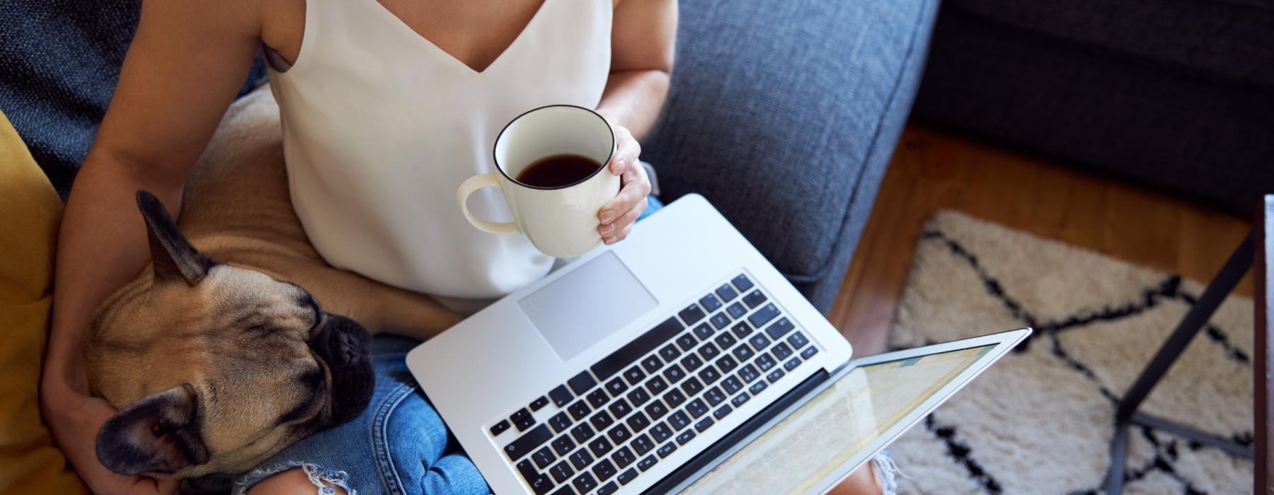 a dog lying on a couch next to a person using a laptop